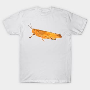 Carolina Grasshopper Locust Bug T-Shirt